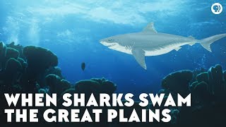 When Sharks Swam the Great Plains [upl. by Kin658]