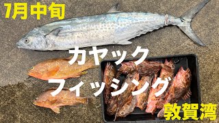 カヤックフィッシングでサワラ釣れた！そして根魚入れ食い！7月敦賀湾 [upl. by Hieronymus240]