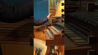 RUTYNA organista organy praca orgel orgelvlog orgelmusik dailyvlog [upl. by Lime]