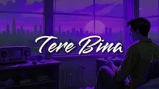 New Hindi Song lofi SlowedReverb Tere bina Lofi Song [upl. by Yhtrod]