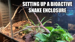 How to Setup a Bioactive Snake Enclosure [upl. by Noelle]