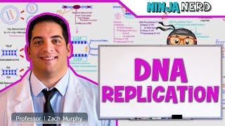 Cell Biology  DNA Replication 🧬 [upl. by Moor107]