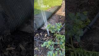 Repairing reticulation in Perth💧 Fixing leak after leak ReticRepairs ReticulationRepairs [upl. by Aiyram]