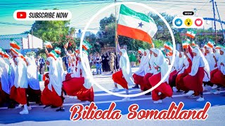 Bilicda Dalka Somaliland Official Video Ibnupoint [upl. by Sallyann]