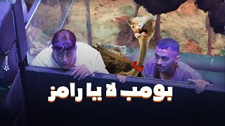 رامز جلال  صريخ حمو بيكا وكزبرة فى مواجهة نعام رامز جاب من الاخر  كزبرة quotبومب لا يا رامزquot [upl. by Pamella]