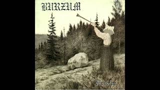 Neco Arc Burzum  Dunkelheit AI Cover [upl. by Lowenstein]