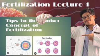 Fertilization  Pre Required Conditions For Fertilization [upl. by Lewis]