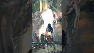 King Morgott Parry Edit eldenring eldenringgameplay shadowoftheerdtree [upl. by Je]