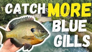 Catch MORE Bluegill From The Bank  EASIEST METHOD [upl. by Leatrice948]