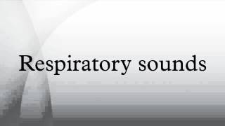 Respiratory sounds [upl. by Nollaf]