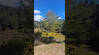 大雪山天池の一草一木！snow mountain pond TaiwanDaxueshan [upl. by Buonomo]