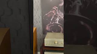 Denon 2000III amthanhbai music jblc100si xuhuong [upl. by Arat]