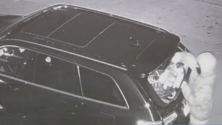 Contractors targeted in Portage Park as overnight breakins caught on camera [upl. by Nosredna492]