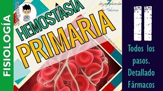 HEMOSTASIA PRIMARIA COAGULACIÓN TEORIA ANTIGUA Y NUEVA FIBRINOLISIS FISIOLOGÍA SanguineaP2 [upl. by Leifer]