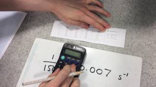 91 GCSE Biology Required Practical 5 Amylase Pt 2 [upl. by Ramberg]