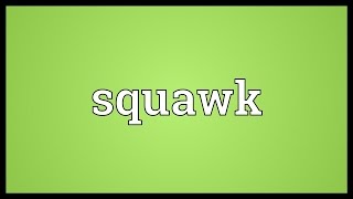 Squawk Meaning [upl. by Sikleb]