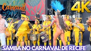 RECIFE com MUITO SAMBA no CARNAVAL Fevereiro de 2024 [upl. by Laehcim]