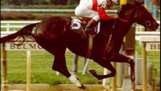 Remembering Ruffian The Greatest Filly To Ever Live [upl. by Selina]