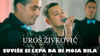 Uros Zivkovic  Suvise si lepa da bi moja bila orkestar Gorana Todorovica [upl. by Siseneg284]