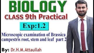 Microscopic examination of Brassica campestris root stem amp leaf 9th biology practical Exp12 part2 [upl. by Sternberg]