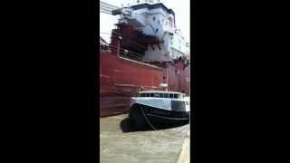 CSL Laurentien Crashes into Fishing Boat In Port Colborne [upl. by Boni]