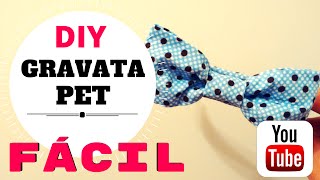 GRAVATA PARA CACHORRO  SEM COSTURA DIY [upl. by Cornwall132]