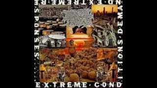 Brutal Truth  Extreme Conditions Demand Extreme Responses 1992 Full Album [upl. by Leatrice]