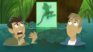 Wild Kratts S02EP14 Aqua Frog [upl. by Ecilayram]