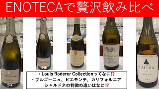 ENOTECAで贅沢飲み比べシャンパン、シャルドネ！ [upl. by Laurena]