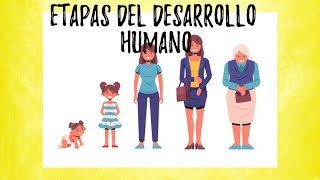 Etapas del desarrollo humano  video educativo [upl. by Imojean]