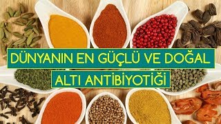 DÜNYANIN EN GÜÇLÜ VE DOĞAL 6 ANTİBİYOTİĞİ [upl. by Ecirtap]