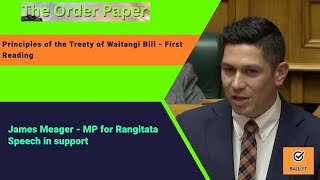 James Meager on the Principles of the Treaty of Waitangi Bill  First Reading [upl. by Ecnedac]