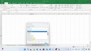 Worksheets Organization In Excel [upl. by Enilemme39]