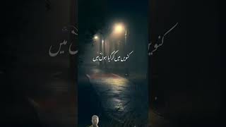 urdupoetry love urdu explore facts [upl. by Akyre968]