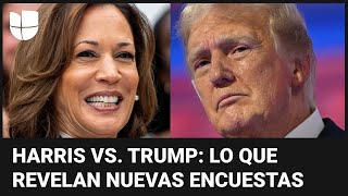 Harris vs Trump lo que revelan nuevas encuestas sobre la campaña electoral en Estados Unidos [upl. by Onihc]