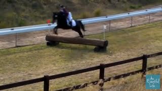 STANDARDBRED EVENTING Sydney International Equestrian Centre [upl. by Lorak]