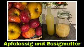 Apfelessig und Essigmutter selber machen  Fallobst verarbeiten  Selbstversorgung [upl. by Krein405]