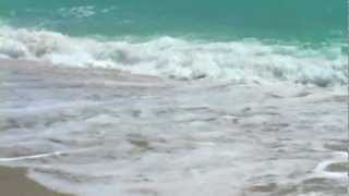 Relaxing Ocean Sounds w Seagulls [upl. by Kenward]