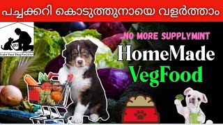 Delicious Homemade Dog Treats And Food In Malayalam [upl. by Hanway]