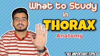 What to study in Thorax Anatomy  All Important Topics  Best Approach [upl. by Mirella737]