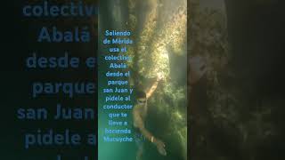 Cenote yaal utzil Yucatán [upl. by Barnum]