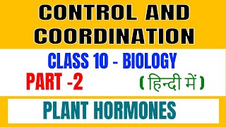 control and coordination in plants class 10 in hindi [upl. by Nwahsuq]