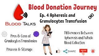 Ep4 Apheresis and Granulocytes Transfusion Blood Donation Journey [upl. by Mencher344]