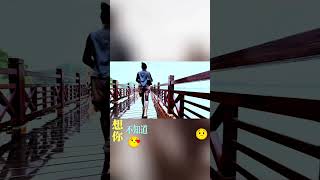 Oneshot shooting tips Mobile photography Shooting tips Outdoor photography Healing scenery One [upl. by Ivan]