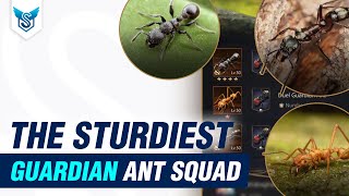 The Sturdiest Guardian Ant Squad  The Ants Underground Kingdom EN [upl. by Wendell795]