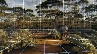 La Mega Faune Australienne►lhistoire inscrite dans la pierre►Documentaire Paléontologie [upl. by Htehpaj773]