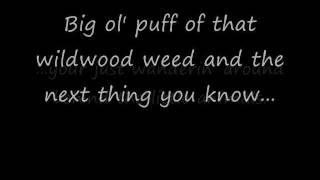 Wildwood Weed Jim Stafford w lyrics [upl. by Rayshell]