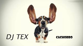 BASE DE FUNK  BEAT FUNK  FUNK INSTRUMENTAL  DJ TEX  CACHORRO [upl. by Pastelki762]