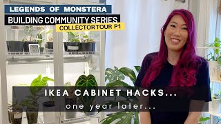 P1 IKEA MILSBO Cabinet Hacks for Houseplants  Collector Plant Tour  Building Community Series [upl. by Arabela149]