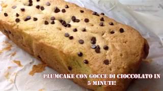 PLUMCAKE CON GOCCE DI CIOCCOLATO in 5 minuti [upl. by Rehpatsirhc]